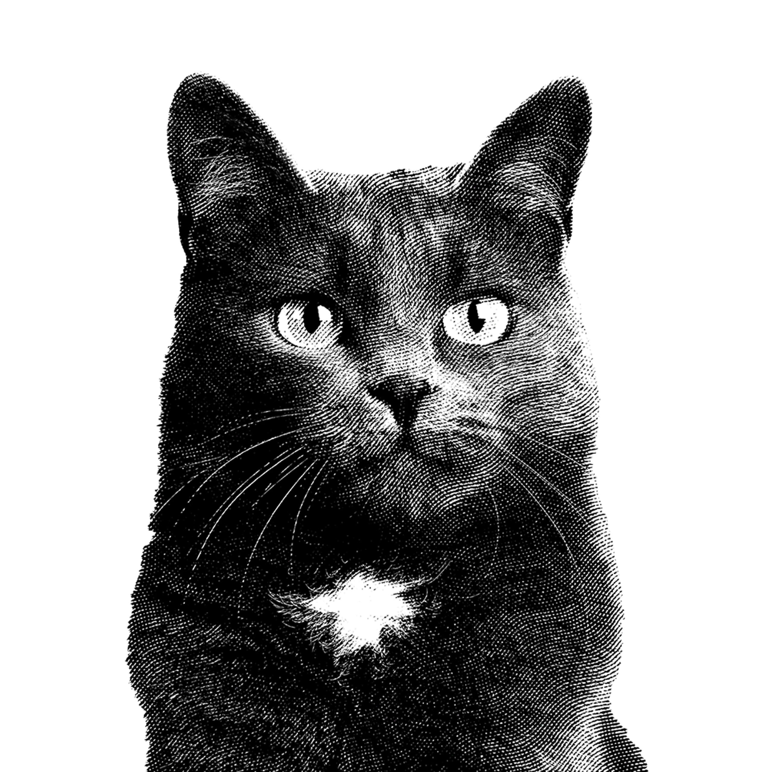 Todd Harkness, Project Management Director at Simple Simple